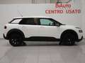 Citroen C4 Cactus BlueHDi 120 S&S EAT6 Shine Wit - thumbnail 17