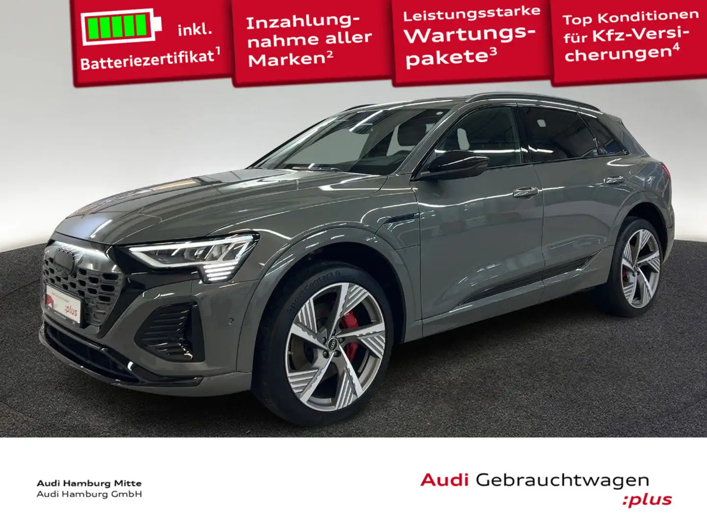 Audi Q8 e-tron 50 S line quattro Matrix Head-Up virtu Grau - 1