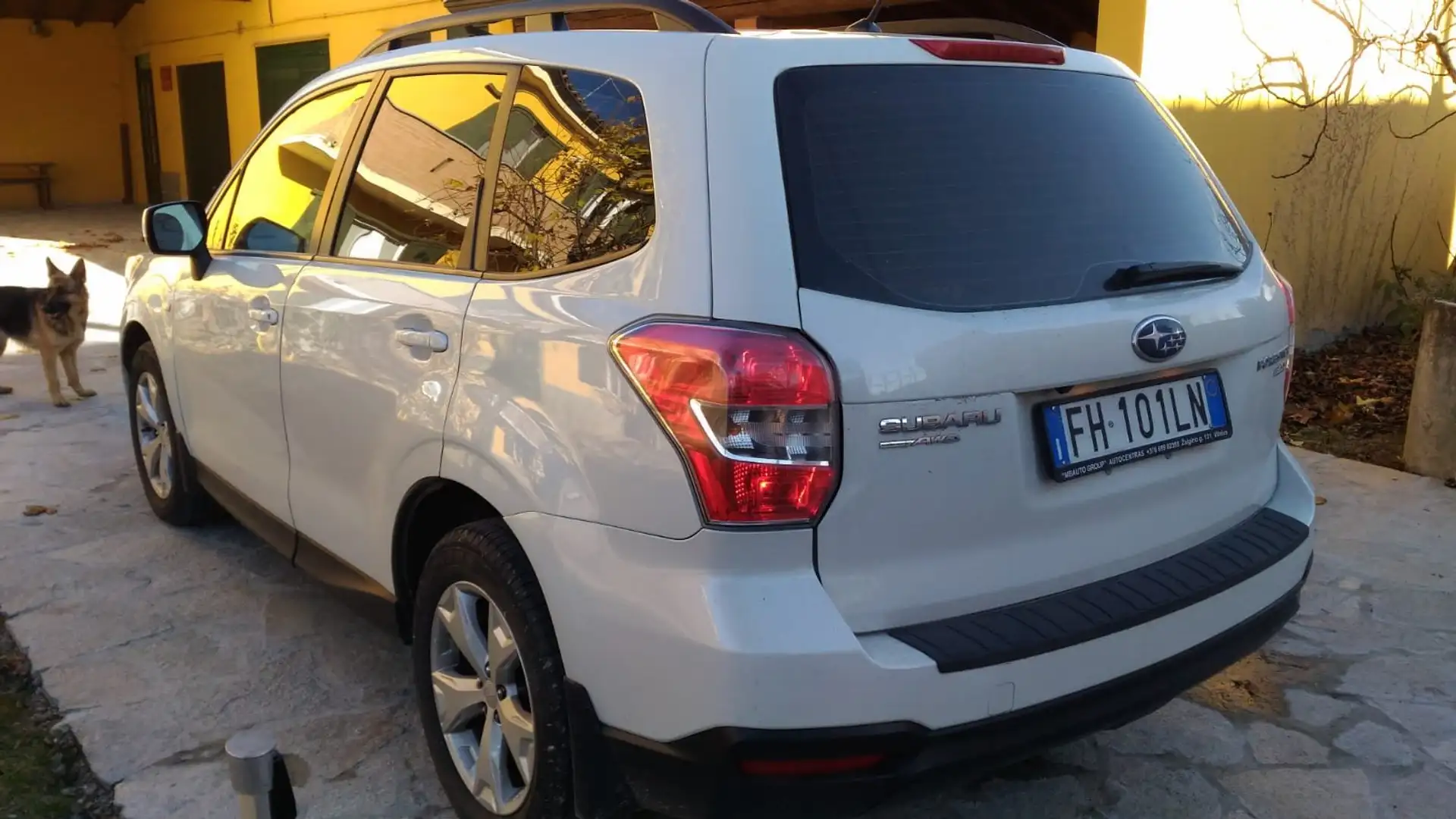 Subaru Forester Forester 2.0i-L Style bi-fuel lineartronic Bianco - 2