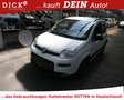Fiat Panda 1.0 City Life KLIMA/SITZHZ/DAB/PDC/8Fa Weiß - thumbnail 1