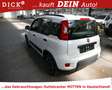 Fiat Panda 1.0 City Life KLIMA/SITZHZ/DAB/PDC/8Fa Weiß - thumbnail 5