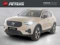 Volvo XC40 Plus Dark B4 EU6e El. Panodach Navi Leder Digitale Beige - thumbnail 1