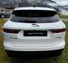 Jaguar F-Pace P 400e S Weiß - thumbnail 3