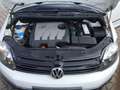 Volkswagen Golf Plus VI CrossGolf+Klima+Leder+Alu Bianco - thumbnail 13