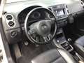 Volkswagen Golf Plus VI CrossGolf+Klima+Leder+Alu Bianco - thumbnail 5