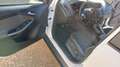 Ford Focus Focus 1.6TDCi Trend 115 Trend Blanco - thumbnail 10