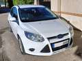 Ford Focus Focus 1.6TDCi Trend 115 Trend Blanco - thumbnail 2