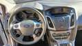 Ford Focus Focus 1.6TDCi Trend 115 Trend Blanco - thumbnail 7