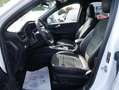 Ford Kuga Plug-In Hybrid ST-Line X LED ACC Head Up Blanco - thumbnail 8