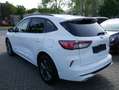Ford Kuga Plug-In Hybrid ST-Line X LED ACC Head Up Wit - thumbnail 6
