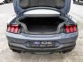 Ford Mustang Dark Horse V8 Recaro-Sitze+MagneRide Klima Navi Bleu - thumbnail 9