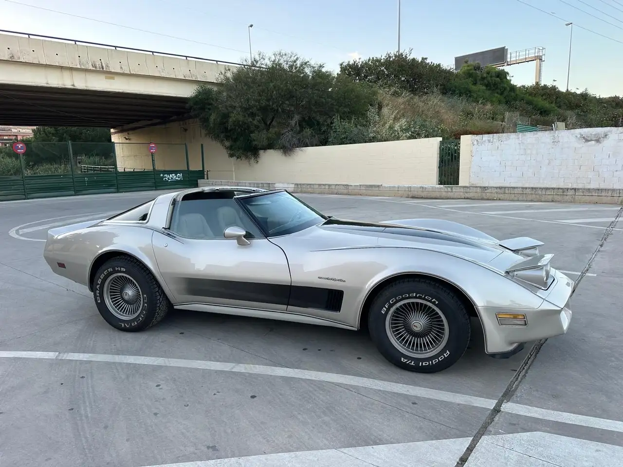Corvette C3 1982 Chevrolet Corvette Stingray Collector Edition, foto 2