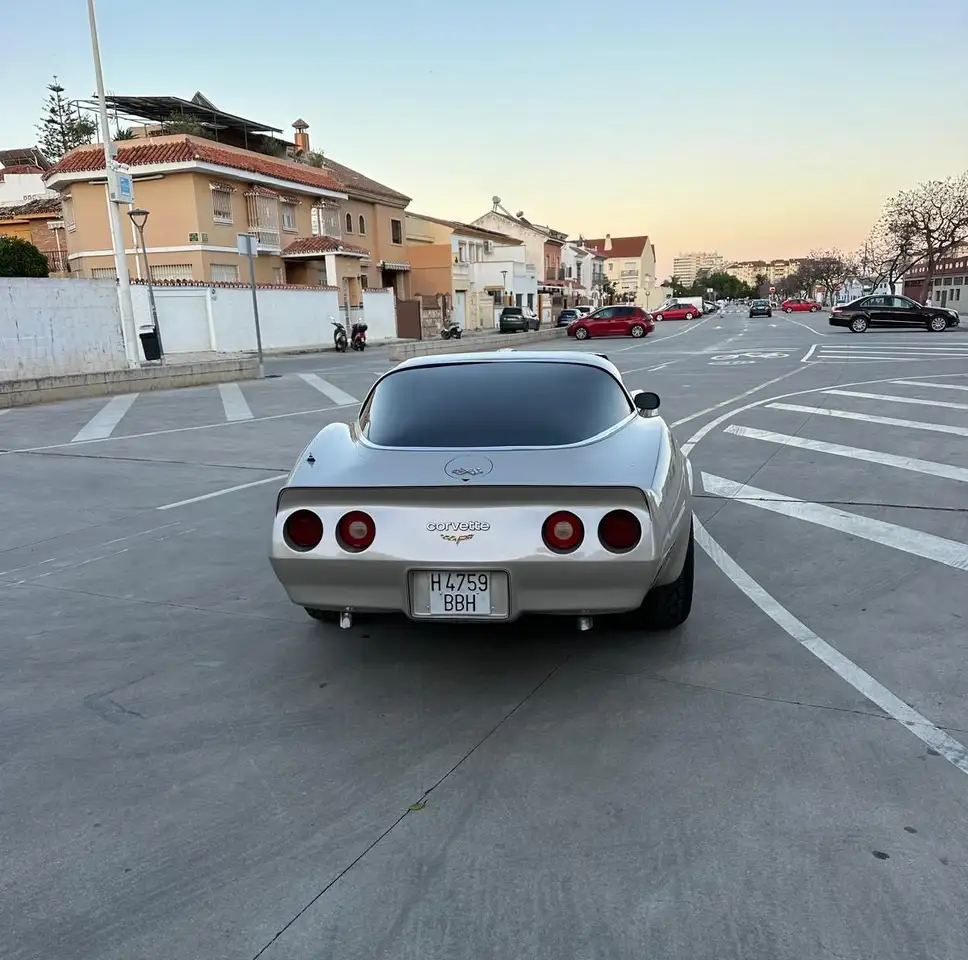 Corvette C3 1982 Chevrolet Corvette Stingray Collector Edition, foto 4