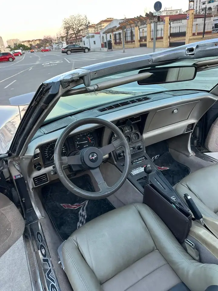 Corvette C3 1982 Chevrolet Corvette Stingray Collector Edition, foto 5