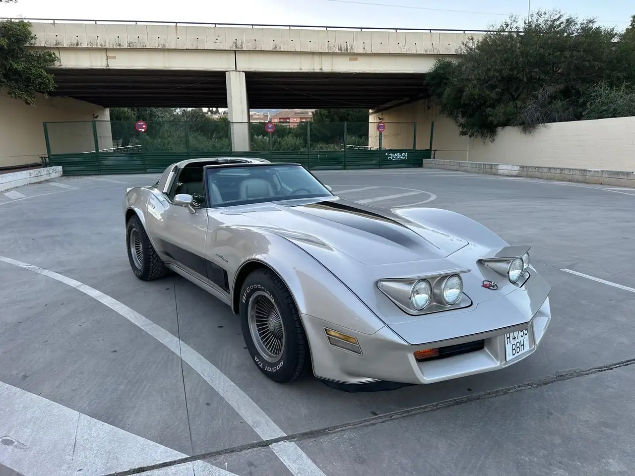 Corvette C3 1982 Chevrolet Corvette Stingray Collector Edition, foto 1