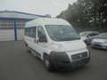 Fiat Ducato 115, 9 Sitzer,Klimaautomatik Blanc - thumbnail 2