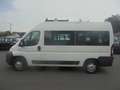 Fiat Ducato 115, 9 Sitzer,Klimaautomatik Blanc - thumbnail 3