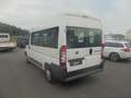 Fiat Ducato 115, 9 Sitzer,Klimaautomatik Blanc - thumbnail 4
