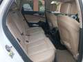 Audi A6 allroad 3.0 tdi Business Plus quattro 272cv s-tronic Bianco - thumbnail 13