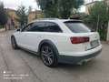 Audi A6 allroad 3.0 tdi Business Plus quattro 272cv s-tronic Bianco - thumbnail 6