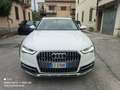 Audi A6 allroad 3.0 tdi Business Plus quattro 272cv s-tronic Bianco - thumbnail 2
