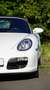 Porsche Boxster Porsche-Sondermodell: Vollausstattung & Extras Bílá - thumbnail 14
