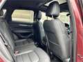 Mazda CX-5 G194 e-Skyactiv MHEV AWD Homura Aut. Allrad A Rot - thumbnail 18