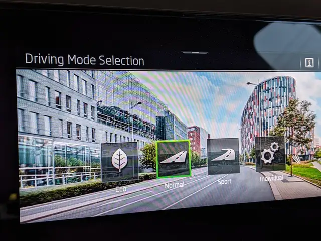 Skoda Kamiq view 14