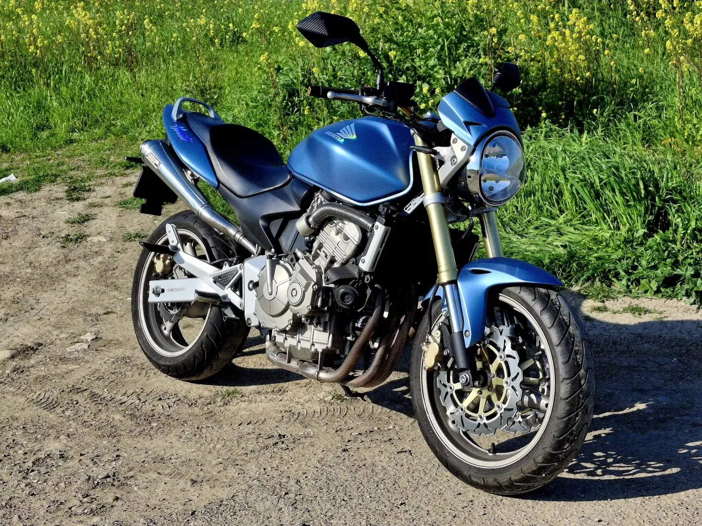 Honda Hornet Blu/Azzurro - 2
