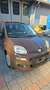 Fiat Panda Panda III 2012 1.2 Easy 69cv Marrone - thumbnail 3