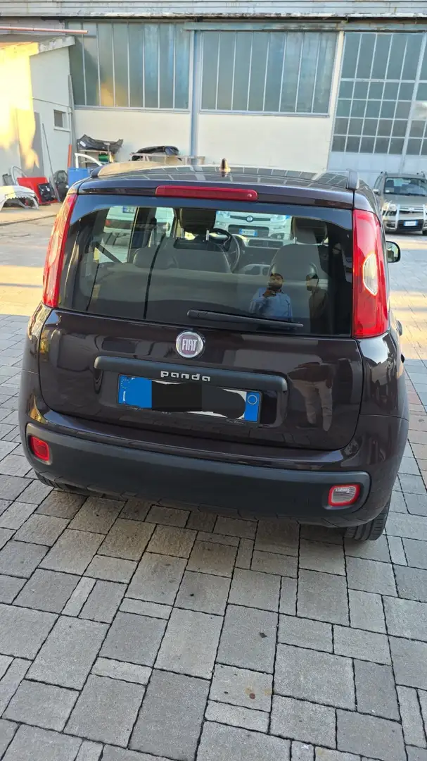 Fiat Panda Panda III 2012 1.2 Easy 69cv Marrone - 2