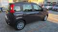 Fiat Panda Panda III 2012 1.2 Easy 69cv Marrone - thumbnail 5