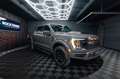 Ford F 150 F150 5.0L V8 4x4 Offroad SuperCrew RAPTOR 19% Gris - thumbnail 10