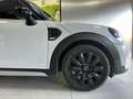 MINI Cooper D Countryman Mini Countryman 2.0 Cooper D auto Bianco - thumbnail 8