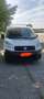 Fiat Scudo Blanc - thumbnail 1