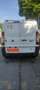 Fiat Scudo Blanc - thumbnail 5