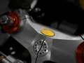 MV Agusta F4 750 LIMITED EDITION - 1 of 50 Gris - thumbnail 23
