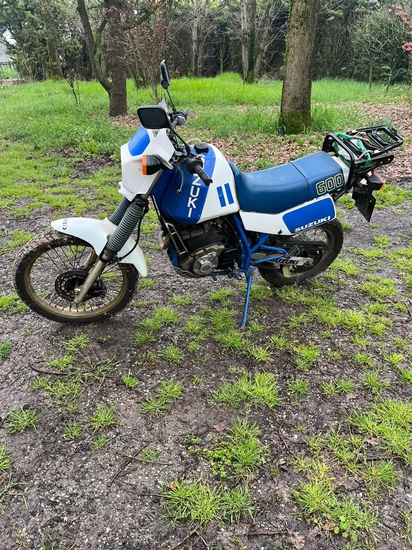 Suzuki DR 600 Albastru - 2