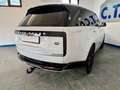Land Rover Range Rover D350 Autobiography  Mild-Hybrid IAHKIPanoIVOLL Blanc - thumbnail 7