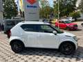 Suzuki Ignis 1.2 DUALJET HYBRID Comfort+ Weiß - thumbnail 3