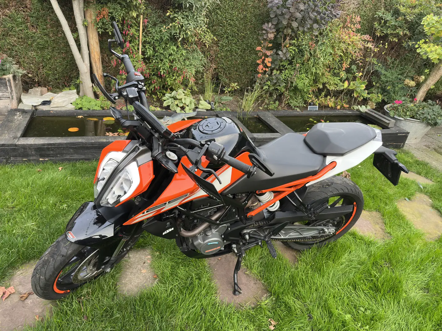 KTM Duke 125 - 2