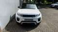 Land Rover Range Rover Evoque TD4 Aut. SE Dynamic Weiß - thumbnail 5