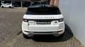Land Rover Range Rover Evoque TD4 Aut. SE Dynamic Weiß - thumbnail 4