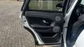 Land Rover Range Rover Evoque TD4 Aut. SE Dynamic Weiß - thumbnail 29