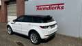 Land Rover Range Rover Evoque TD4 Aut. SE Dynamic Weiß - thumbnail 3
