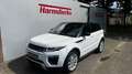 Land Rover Range Rover Evoque TD4 Aut. SE Dynamic Weiß - thumbnail 1