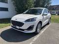 Ford Kuga Vignale 2.0EcoBLue 190PS AWD Automatik Weiß - thumbnail 1