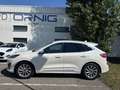 Ford Kuga Vignale 2.0EcoBLue 190PS AWD Automatik Weiß - thumbnail 3