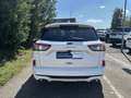 Ford Kuga Vignale 2.0EcoBLue 190PS AWD Automatik Weiß - thumbnail 5