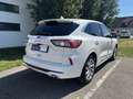 Ford Kuga Vignale 2.0EcoBLue 190PS AWD Automatik Weiß - thumbnail 4